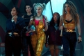 Immagine 3 - Birds of Prey, foto del film con Margot Robbie nei panni di Harley Quinn