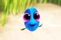 Immagine 15 - Alla ricerca di Dory, i simpatici personaggi del film