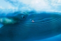 Immagine 18 - Alla ricerca di Dory, i simpatici personaggi del film