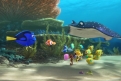 Immagine 26 - Alla ricerca di Dory, divertenti  immagini del film