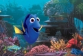 Immagine 28 - Alla ricerca di Dory, divertenti  immagini del film
