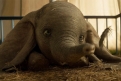 Immagine 29 - Dumbo, foto del film di Tim Burton con Colin Farrell, Michael Keaton, Danny De Vito, Eva Green