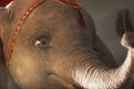 Immagine 17 - Dumbo, foto del film di Tim Burton con Colin Farrell, Michael Keaton, Danny De Vito, Eva Green