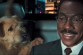 Immagine 23 - Eddie Murphy, immagini e foto tratte dai migliori film con l’attore comico protagonista