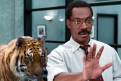 Immagine 24 - Eddie Murphy, immagini e foto tratte dai migliori film con l’attore comico protagonista