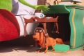 Immagine 10 - Il Grinch, immagini e disegni tratti dal film d’animazione