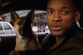 Immagine 6 - Io sono leggenda, foto e immagini del film del 2007 di Francis Lawrence con Will Smith