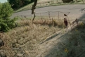 Immagine 30 - IT, foto e immagini tratte dal film horror