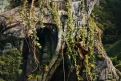 Immagine 47 - Jumanji- Benvenuti nella Giungla, foto e immagini del film fantasy avventura