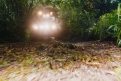 Immagine 49 - Jumanji- Benvenuti nella Giungla, foto e immagini del film fantasy avventura