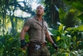 Immagine 35 - Jumanji- Benvenuti nella Giungla, foto e immagini del film fantasy avventura