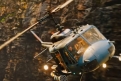 Immagine 38 - Jumanji- Benvenuti nella Giungla, foto e immagini del film fantasy avventura