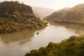 Immagine 5 - Jungle Cruise, foto del film Walt Disney di Jaume Collet-Serra con Dwayne Johnson, Emily Blunt, Jack Whitehall, Paul Giamatti