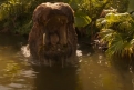 Immagine 7 - Jungle Cruise, foto del film Walt Disney di Jaume Collet-Serra con Dwayne Johnson, Emily Blunt, Jack Whitehall, Paul Giamatti