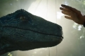 Immagine 25 - Jurassic World: Il regno distrutto, foto e immagini del film con Chris Pratt e Bryce Dallas Howard