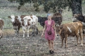 Immagine 11 - Sei mai stata sulla luna?, foto