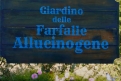 Immagine 22 - Me contro Te il Film 2 - Il mistero della scuola incantata, foto backstage del film con Luì e Sofì
