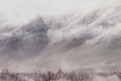 Immagine 47 - Mulan, foto e immagini del film Walt Disney del 2020