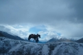 Immagine 8 - Mulan, immagini dal film Walt Disney in live action del 2020