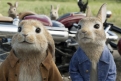 Immagine 4 - Peter Rabbit, immagini e disegni animati del film