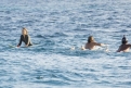 Immagine 5 - Paradise Beach- Dentro l’incubo, foto e immagini