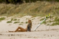 Immagine 1 - Paradise Beach- Dentro l’incubo, foto e immagini