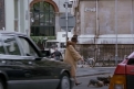 Immagine 12 - Un pesce di nome Wanda, foto e immagini del film di Charles Crichton con John Cleese, Jamie Lee Curtis, Kevin Kline, Michael Pal