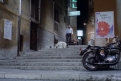 Immagine 27 - Piedone lo sbirro, foto e immagini del film con Bud Spencer