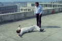 Immagine 7 - Piedone lo sbirro, foto e immagini del film con Bud Spencer