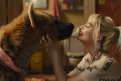 Immagine 29 - Birds of Prey, foto del film con Margot Robbie nei panni di Harley Quinn