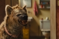 Immagine 30 - Birds of Prey, foto del film con Margot Robbie nei panni di Harley Quinn