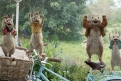 Immagine 7 - Peter Rabbit, immagini e disegni animati del film