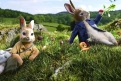 Immagine 21 - Peter Rabbit, immagini e disegni animati del film