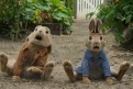 Immagine 23 - Peter Rabbit, immagini e disegni animati del film