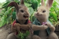Immagine 12 - Peter Rabbit, immagini e disegni animati del film