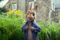 Immagine 16 - Peter Rabbit, immagini e disegni animati del film
