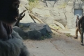 Immagine 12 - Rampage - Furia animale, foto e immagini tratte dal film con Dwayne Johnson