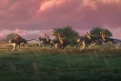 Immagine 24 - Raya e l'ultimo Drago, immagini e disegni del film d'animazione Walt Disney