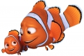 Immagine 2 - Alla ricerca di Dory, i simpatici personaggi del film