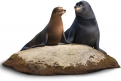 Immagine 10 - Alla ricerca di Dory, i simpatici personaggi del film