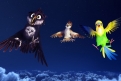 Immagine 15 - Richard - Missione Africa, immagini e disegni del film