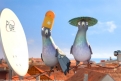 Immagine 10 - Richard - Missione Africa, immagini e disegni del film