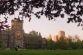 Immagine 12 - #ScrivimiAncora, foto e immagini del film del 2014 con Lily Collins, Sam Claflin. Basato sull’omonimo romanzo
