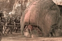 Immagine 1 - Starship Troopers - Fanteria dello Spazio (1997), foto e immagini del film fantascienza di Paul Verhoeven con Casper Van Dien