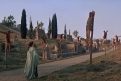 Immagine 27 - Spartacus, foto e immagini del film del 1960 di Stanley Kubrick con Kirk Douglas, Laurence Olivier, Jean Simmons, Tony Curtis