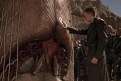Immagine 28 - Starship Troopers - Fanteria dello Spazio (1997), foto e immagini del film fantascienza di Paul Verhoeven con Casper Van Dien