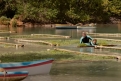 Immagine 19 - Ticket to Paradise, foto e immagini del film di Ol Parker con George Clooney, Julia Roberts