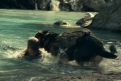 Immagine 12 - Heart of the Beast - Nel Profondo Selvaggio, immagini del film di David Ayer con Brad Pitt, J.K. Simmons