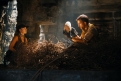 Immagine 7 - Jurassic World - La Rinascita, immagini del film di Gareth Edwards con Scarlett Johansson, Jonathan Bailey, Mahershala Ali