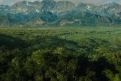 Immagine 14 - Warcraft- L'inizio, immagini del film